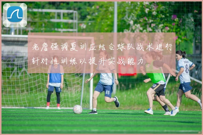 老詹强调夏训应结合球队战术进行针对性训练以提升实战能力